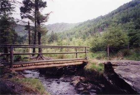 Irlande : R�gion Sud - pont de bois